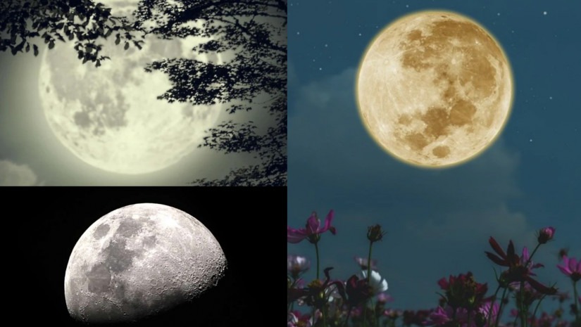 შავი მთვარე