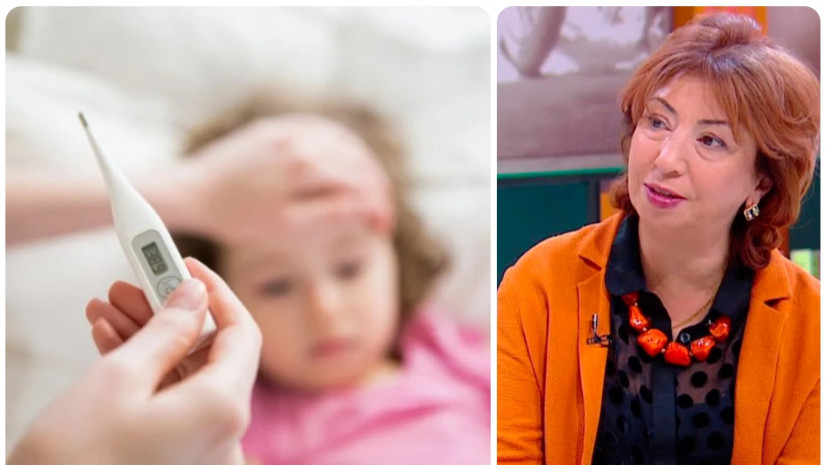 მაია ხერხეულიძე  