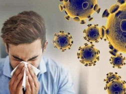 გრიპის ვირუსი