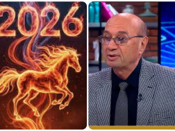 მიხეილ ცაგარელი