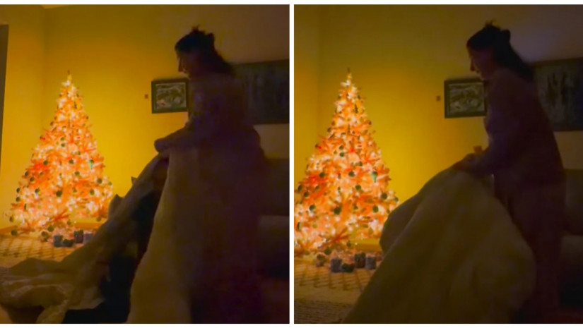 ლელა მებურიშვილი