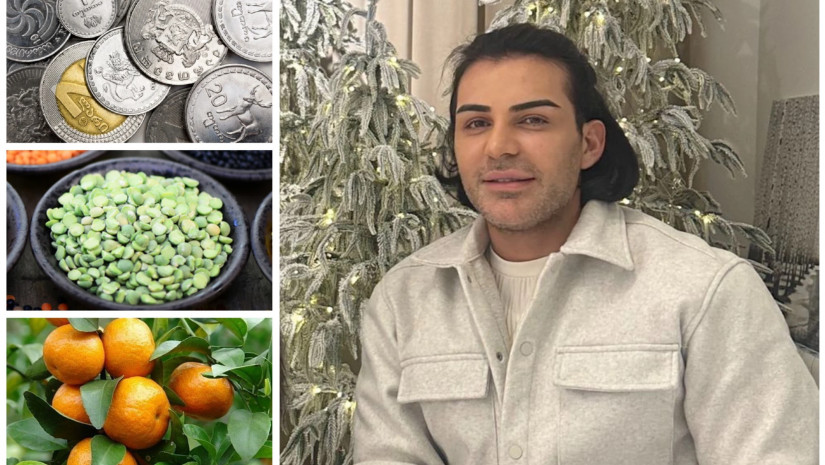 გოგა მანია