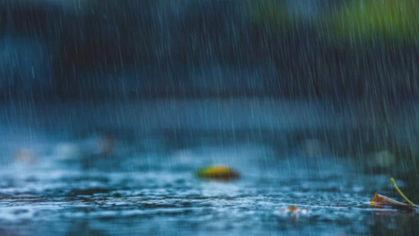 ამინდი - წვიმა