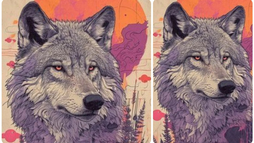 ზარლსი წელი