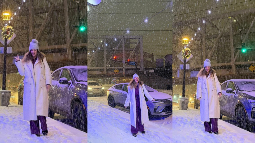 ნინი შერმადინი