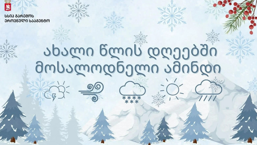 გარემოს ეროვნული სააგენტო