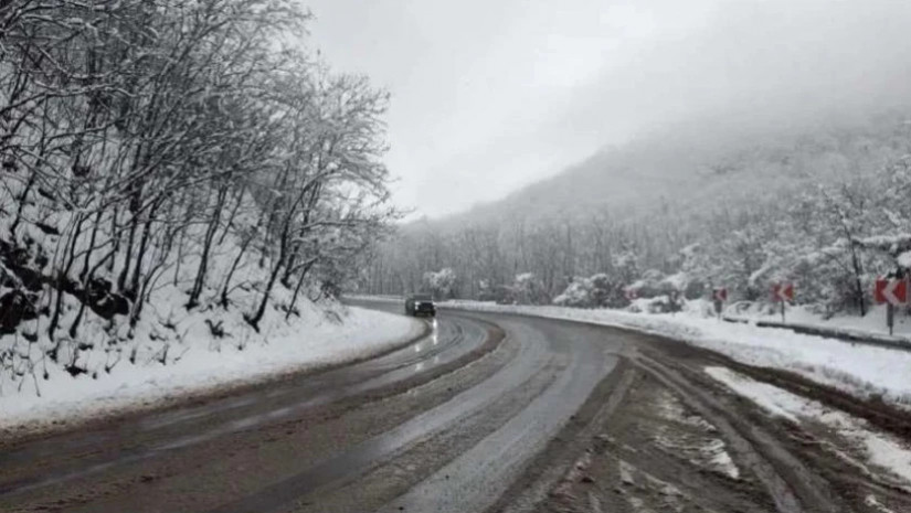 მოძრაობა აღდგა