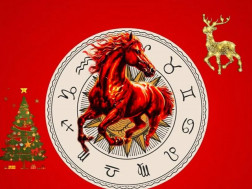 ჰოროსკოპიჰოროსკოპი