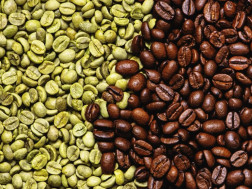 მწვანე ყავა