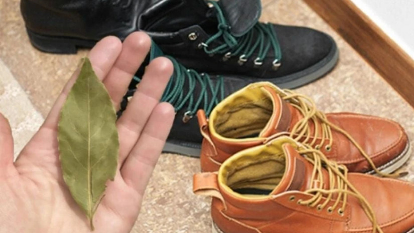  დაფნის რიტუალი გზების გასახსნელად 