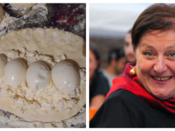 ნინო კვაჭანტირაძე