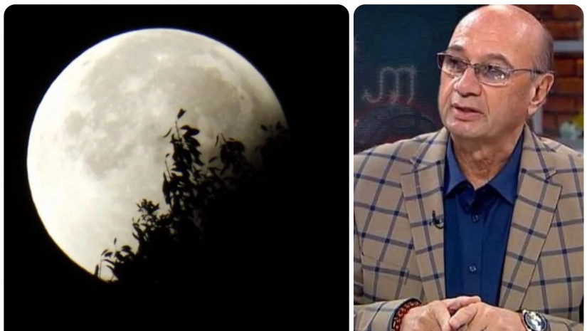 მიხეილ ცაგარელი