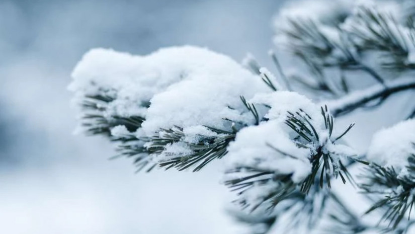 თოვლი ამინდი