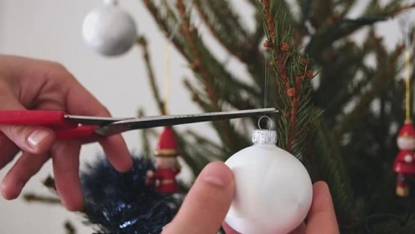 ნაძვის ხე       