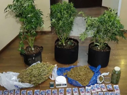 ნარკოტიკული საშუალება 