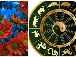 სიმდიდრის ყვავილები