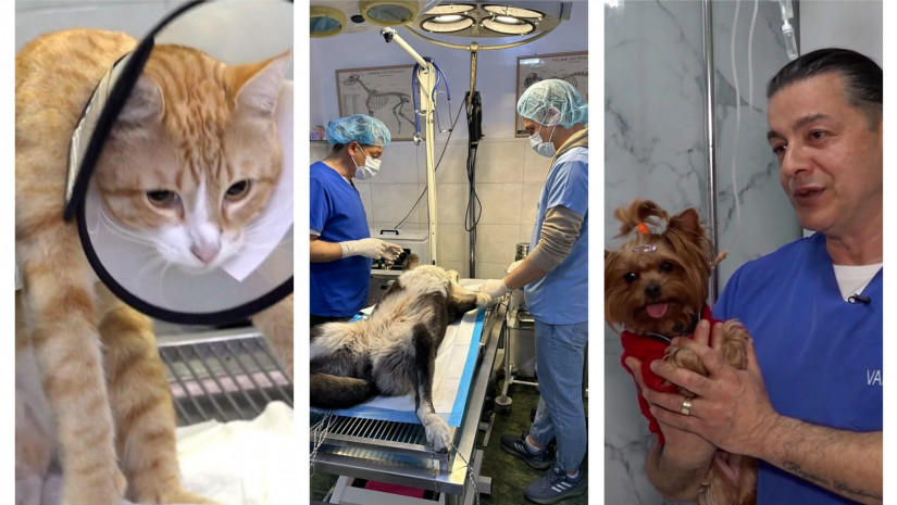 ვეტერინარი ვახტნგ მამალაძე