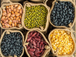 მარცვლეულიმარცვლეული