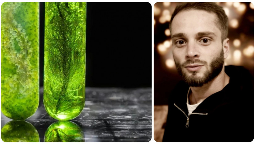 მეტაფიზიკოსი ვატო მსხილაძ