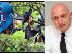 ივანე ჩხაიძე  