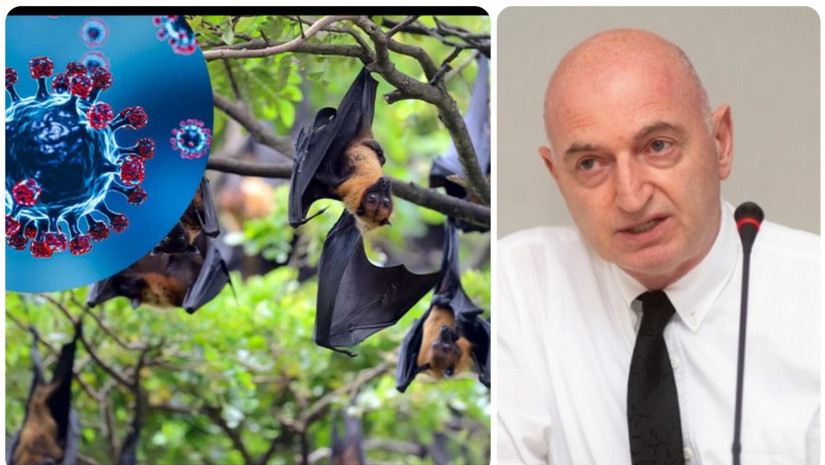 ივანე ჩხაიძე  