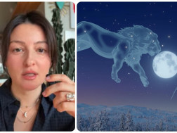 მედეა დოლიძე