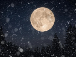 თოვლის მთვარე