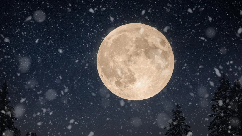 თოვლის მთვარე