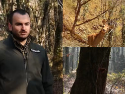 რეინჯერირეინჯერი