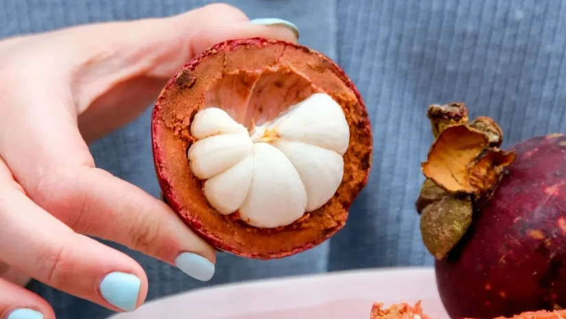 მანგოსტინი მანგოსტინი 