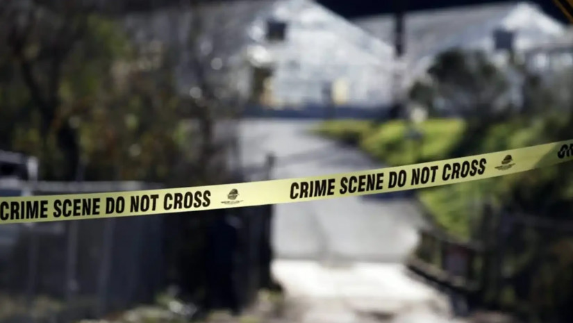 პოლიცია         