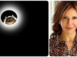 ქეთი ოდშელი 