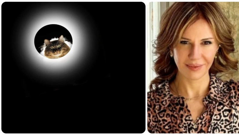 ქეთი ოდშელი 