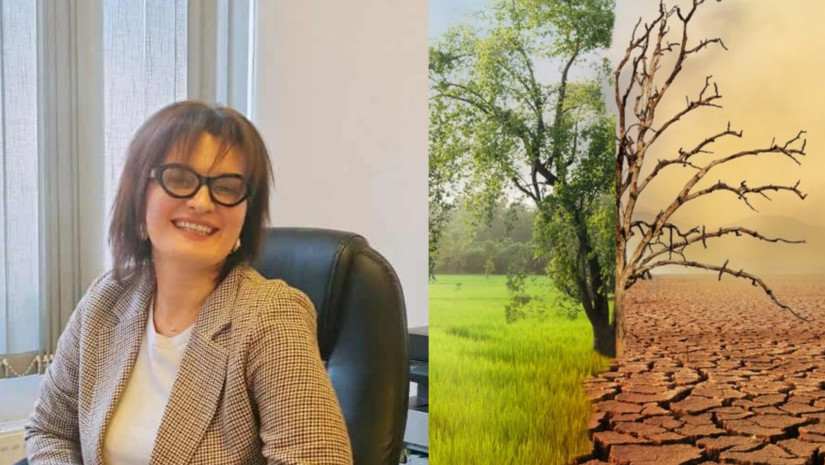 მაგდა კოტრიკაძე