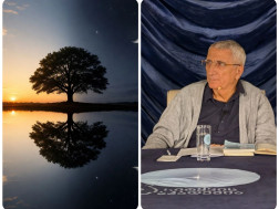 გია მურღულია  