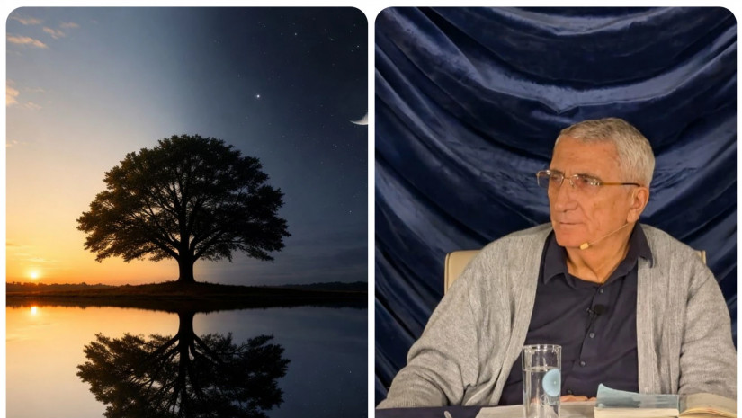 გია მურღულია  