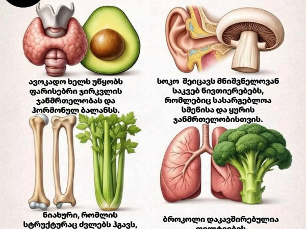 სწორი კვება