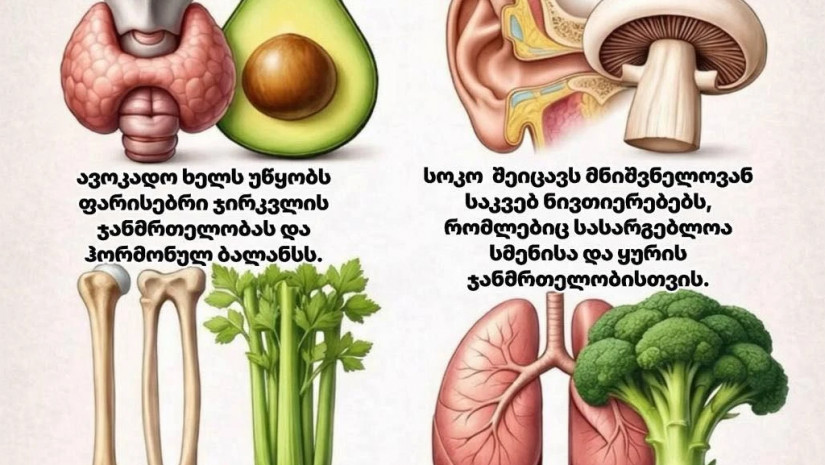 სწორი კვება