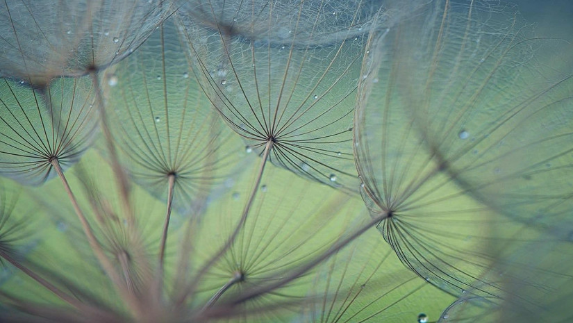 ამინდი ამინდი