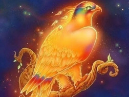 ჩიტის ბუდეჩიტის ბუდე