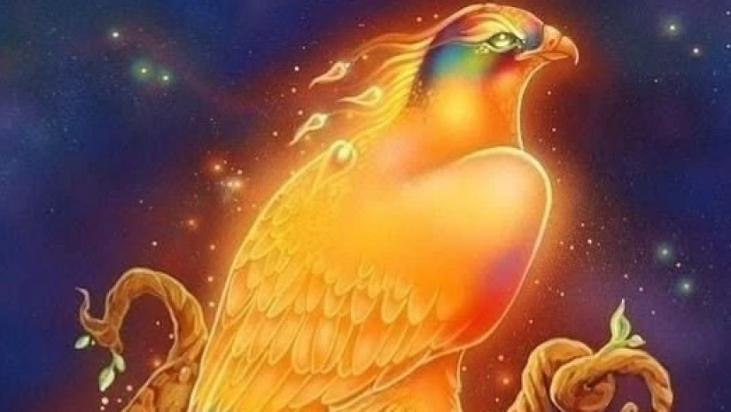 ჩიტის ბუდეჩიტის ბუდე