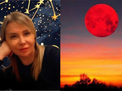 ნინა ხომერიი