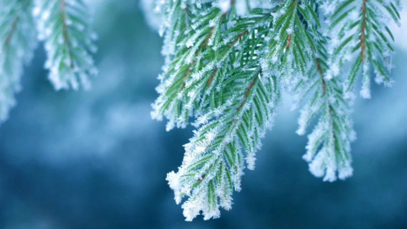 ცივი ამინდი