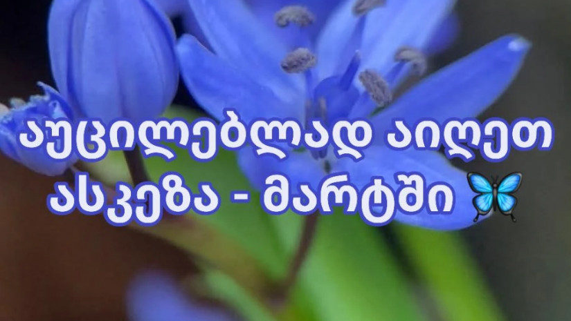 ასკეზა მარტში