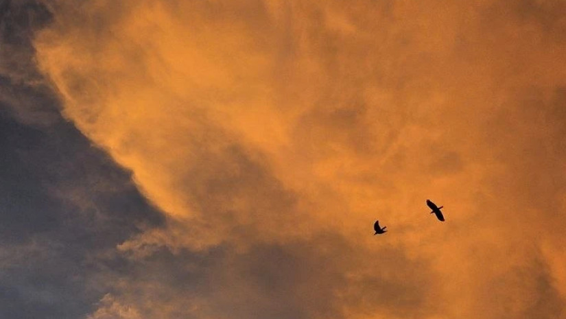 ამინდის პროგნოზი