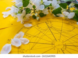 ჰოროსკოპი ჰოროსკოპი