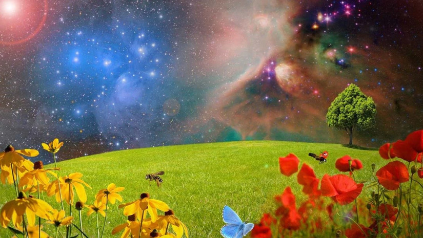 ჰოროსკოპი ჰოროსკოპი