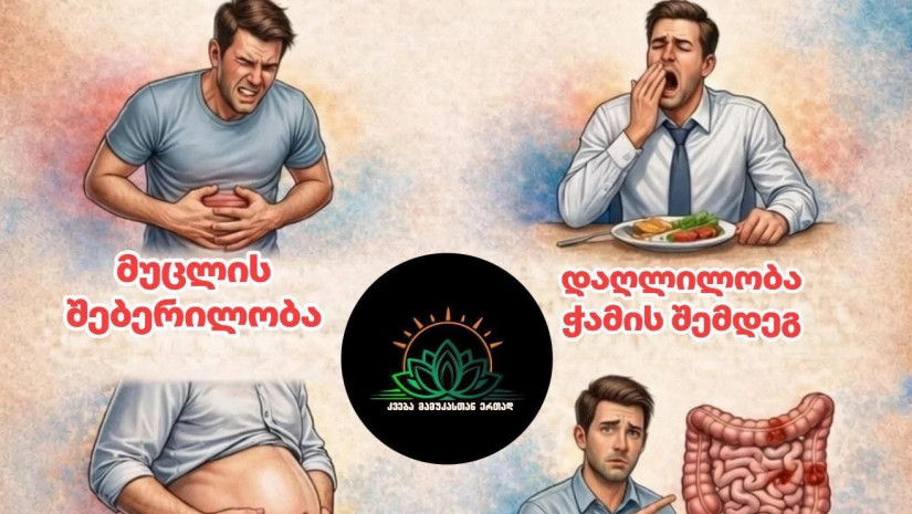 კვებაკვება