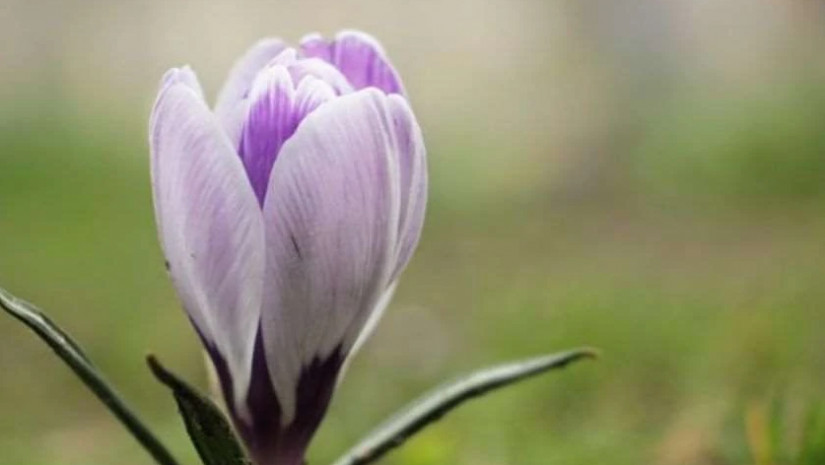 ამინდი - ამინდის პროგნოზი