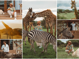 გიორგი ჯობავა 